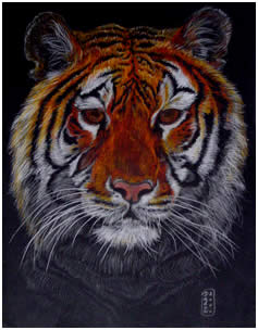 Siberian Tiger Endangered Species Note Card